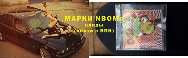 прущие грибы Армянск