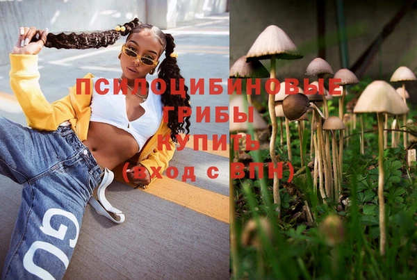 ECSTASY Баксан