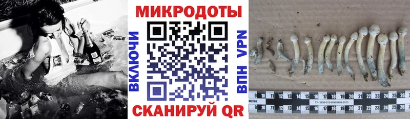 цена наркотик  Спас-Деменск  Галлюциногенные грибы Psilocybine cubensis 